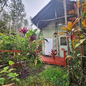 2-rustic Private Near Volcano National Park , Fern Forest États-Unis