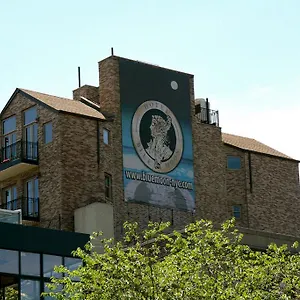 The Historic Blue Moon - Nyc **** New York