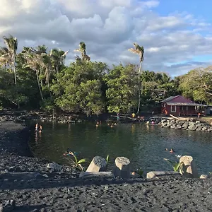 https://the-dolphin-cottage-at-kehena-beach.hotelsinhawaii.org